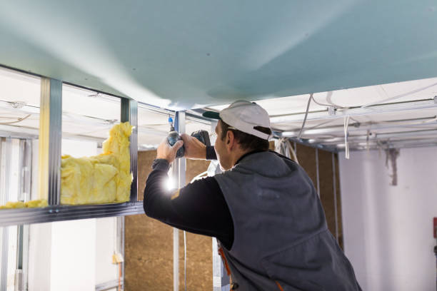 Best Eco-Friendly Insulation in Monona, IA