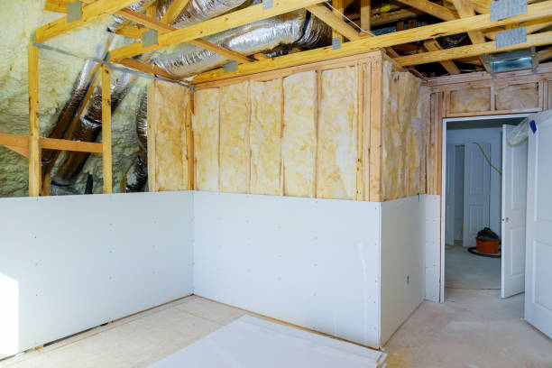 Best Insulation Maintenance and Repair in Monona, IA
