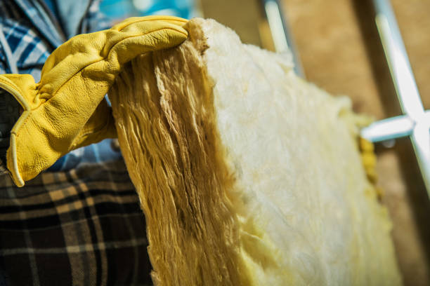 Best DIY Insulation Kits and Guidance in Monona, IA
